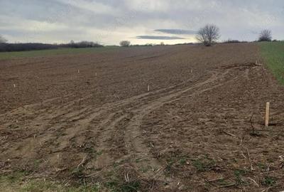 Teren de 433 mp, în Lunca Cetățuii