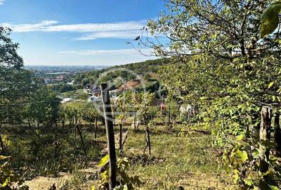 Teren de vanzare in zona de Dealuri, Oradea Teren de vanzare in zona de Dealuri, Oradea - 2