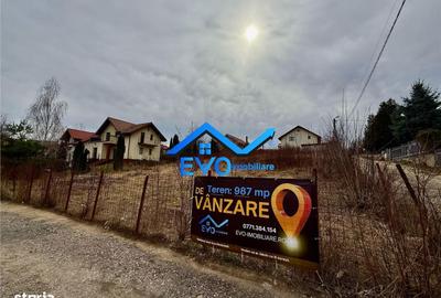 Teren de 987 mp, în Aleea Tudor Neculai - 3
