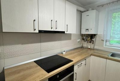 Apartament cu 2 camere în Săsar - 3
