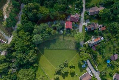 Teren 1566 mp Sacele-Brasov, Strada 7 Izvoare,Comision 0% - 1