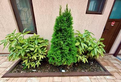 Hotel/Pensiune, de 488 mp, în Corbu - 9