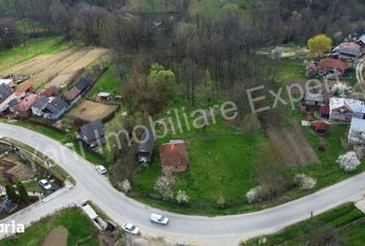 Casă cu 2 camere cu Teren 5800 Mp în Valea Danului - 2