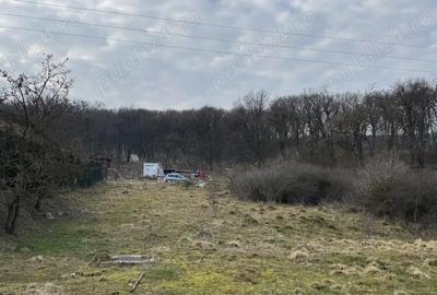 Teren de 600 mp, în Corunca - 1