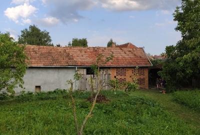 Casă cu 2 camere cu Teren 4384 Mp în Ilișua - 1