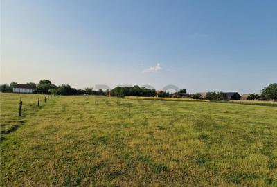 Teren de 500 mp, în Felcheriu - 1