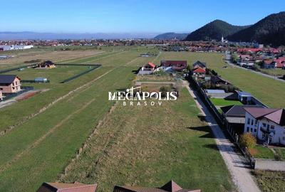 Teren Construcții intravilan de 2233 mp, în Glăjărie - 5