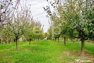 Teren în Sârbova - 6