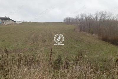 Teren de 5000 mp, în Central - 2