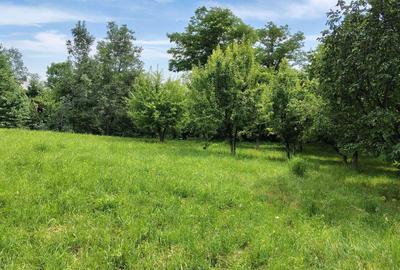 Spațiu comercial, în Galmeia - 3