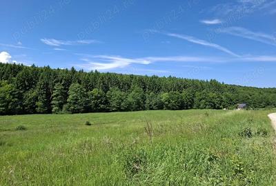 Teren de 670 mp, în Vlădeni - 2