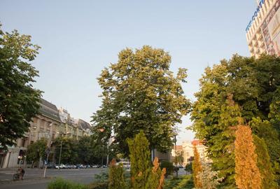 Apartament cu 3 camere semidecomandat, mobilat în Medicină - 8