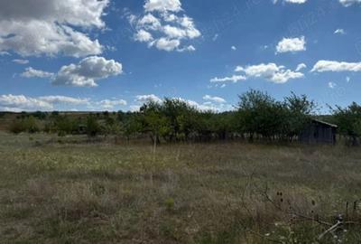 Spațiu comercial, în Oarda - 1