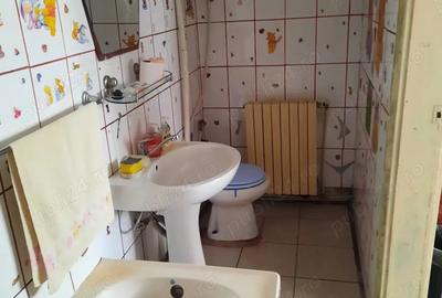 Casa de vanzare la 10 km de Deva - 3