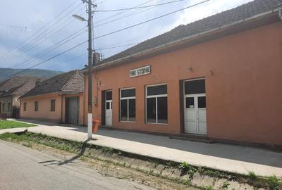 Spatiu comercial "The Stone", Suprafata utila 224 mp, Vascau
