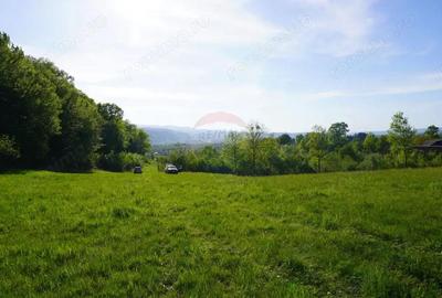 Teren 33,137mp Sighetu Marmatiei / Strada Mocani?ei - 5