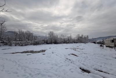 Teren Construcții intravilan de 6000 mp, în Moroeni - 5