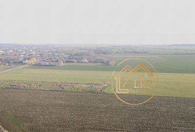 Dascalu-Creata-DC185-7900 mp intravilan, stradal - 7