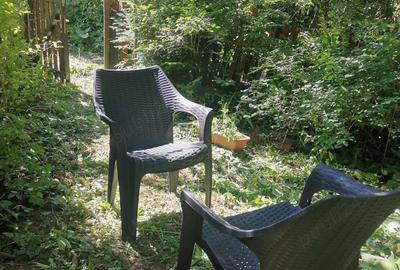 Apartament cu 2 camere decomandat în Orizont - 2