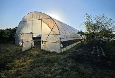 Casă cu 4 camere în Dracea - 5