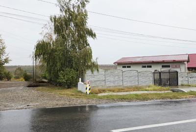 Hala cu teren de 751 mp in M. Kogalniceanu- la strada principala - 9