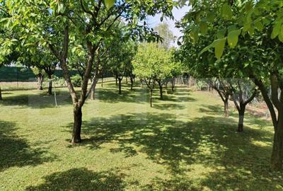 Vila la cheie, Zona Amati, 1241 mp teren - 16