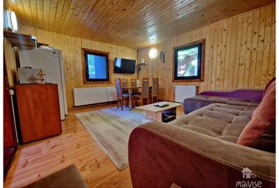 Casa de vacanta!!! Valea Bozom- Apata - 3