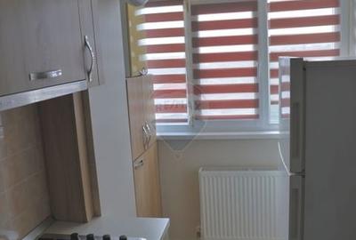 Apartament cu 1 camere decomandat în Burdujeni - 8