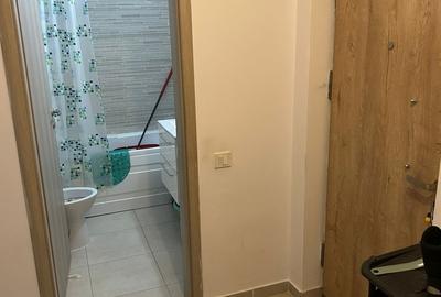 Drumul Taberei, 42 mp decomandata, Brancusi, Drumul Valea Doftanei - 10