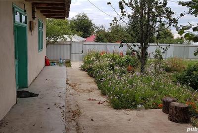 Casă cu 3 camere cu Teren 9228 Mp în Sălceni - 2