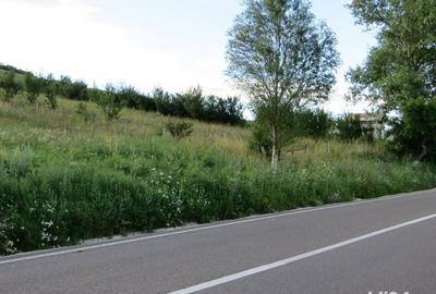 Teren de 3600 mp, în Gârcina - 3
