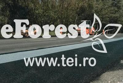 Casă cu Teren 760 Mp în Crevedia