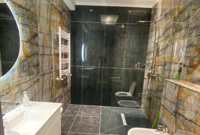 Aparament cu 2 camere de inchiriat in zona Herastrau - 3