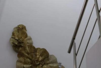 Casă cu 3 camere cu Teren 60 Mp în Mamaia - 6