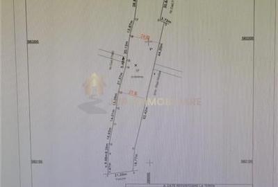 Teren extravilan 3640 mp Strada Stejarului - 4