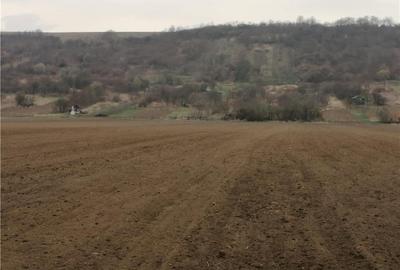 Teren de 8800 mp, în Vinerea - 3