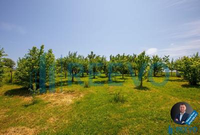 Casa de vanzare 200 mp in Letea Veche - 13