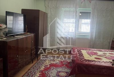 Casa individuala cu teren mare in Remetea Mare - 17