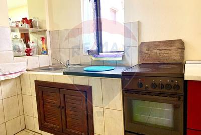 Pensiune cu 13 camere de vanzare in Bulz - 20