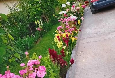 Casa 70mp complet utilata ?i mobilata 125 000 e negociabil - 3