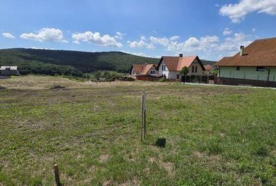 Teren de 700 mp, în Corunca - 2