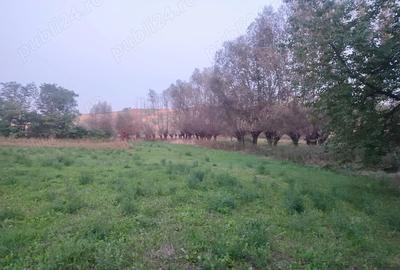 Vand casa cu teren, localitatea Horodniceni, jude?ul Suceava - 4