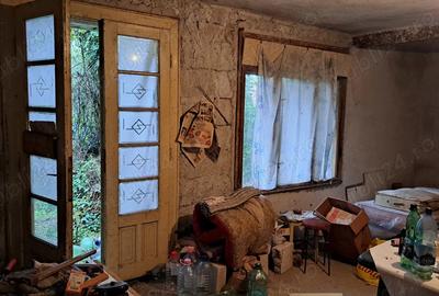 Casa de vanzare in satul Odvos (comuna Conop) - 2