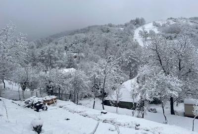Casă cu 4 camere în Central - 8