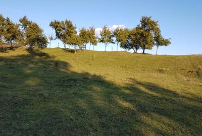Teren livadă cu panoramă superbă Dealul Malului pentru casă sau cabană - 25