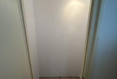 Apartament cu 2 camere semidecomandat în Dristor - 17