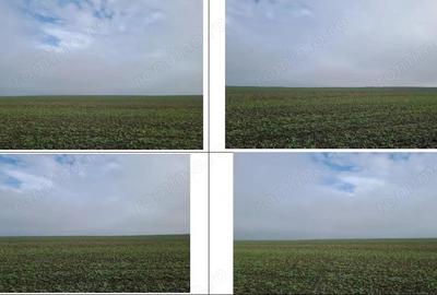 Teren de 1498 mp, în Orbeasca - 6