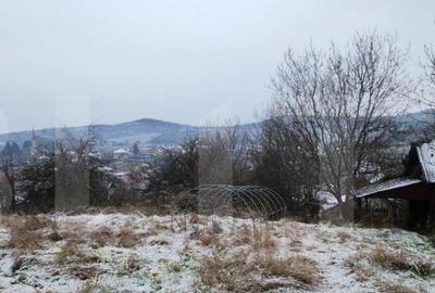 Ocazie Unica! Casa in Livezeni cu 1600 mp Teren cu o a doua - 6