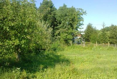 Intravilan 480 mp , loc de casa , zona padure Baicoi Prahova - 5