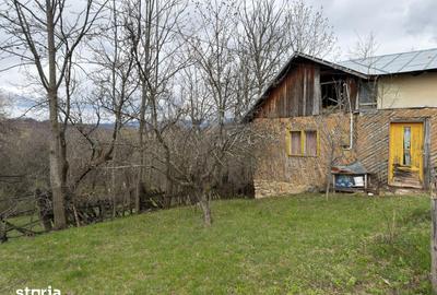 Teren de 1518 mp, în Șotrile - 3